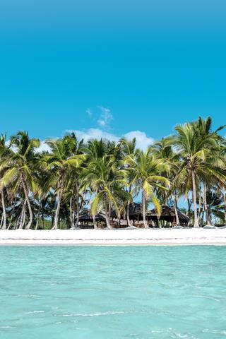 DOMINICAN_REPUBLIC_BRAND_23_F025_SAONA_JPG_Prev_0 (2) (2) (1)
