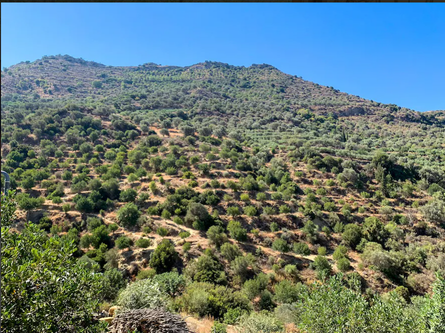 crete